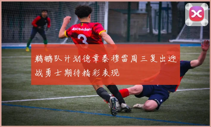 鹈鹕队计划德章泰穆雷周三复出迎战勇士期待精彩表现