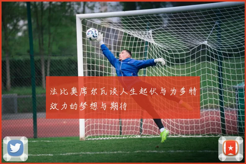 法比奥席尔瓦谈人生起伏与为多特效力的梦想与期待