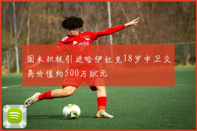 国米积极引进哈伊杜克18岁中卫交易价值约500万欧元